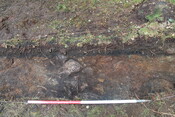 EHG5104_1408.JPG