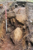 EHG5104_1416.JPG