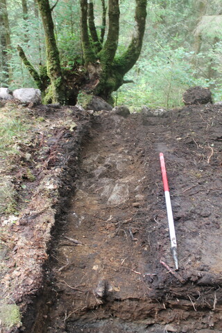 EHG5104_1417.JPG