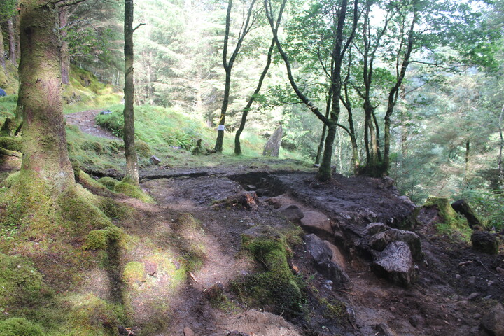 EHG5104_1432.JPG