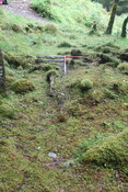 EHG5104_1243.JPG