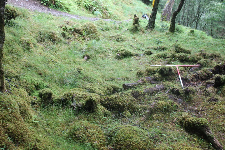 EHG5104_1245.JPG
