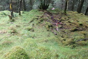 EHG5104_1248.JPG