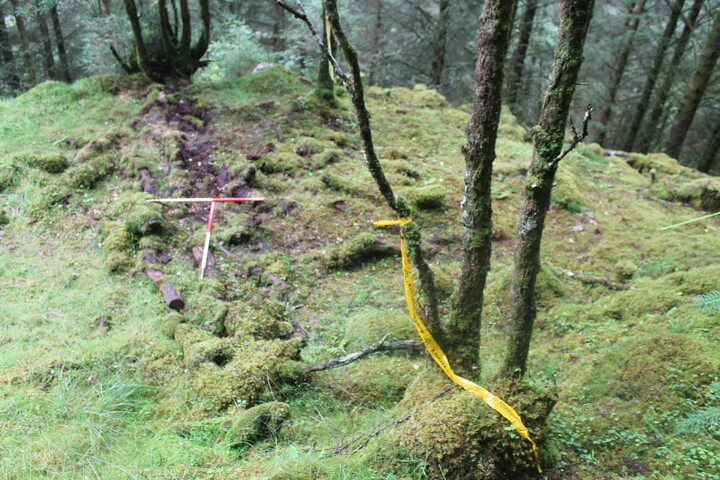 EHG5104_1249.JPG