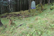 EHG5104_1250.JPG