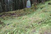 EHG5104_1253.JPG