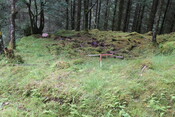 EHG5104_1254.JPG