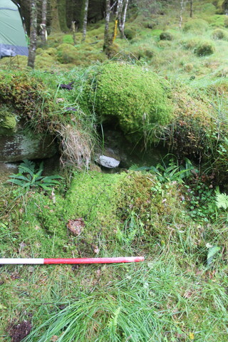 EHG5104_1258.JPG