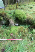 EHG5104_1258.JPG