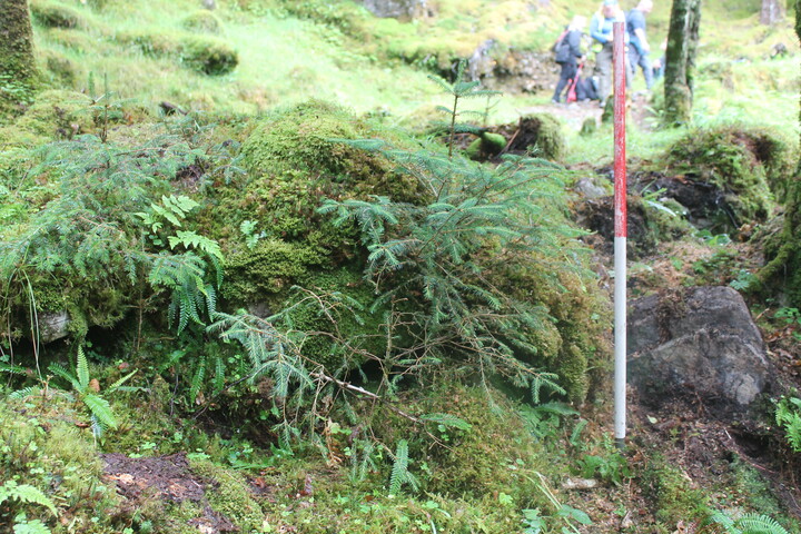 EHG5104_1261.JPG