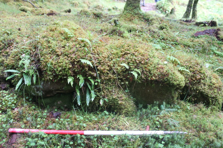 EHG5104_1262.JPG