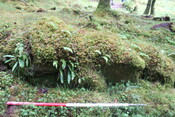 EHG5104_1262.JPG