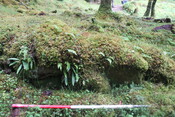 EHG5104_1263.JPG