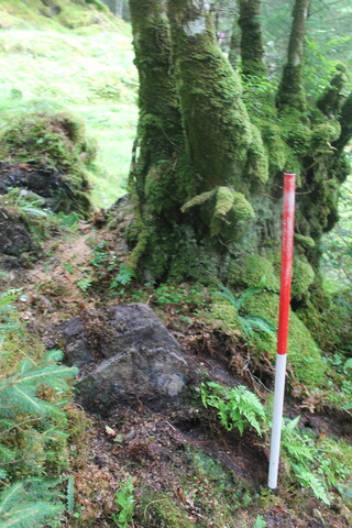 EHG5104_1264.JPG