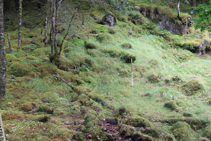 EHG5104_1267.JPG