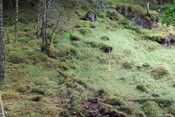 EHG5104_1267.JPG