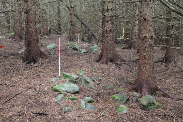 EHG5104_1292.JPG
