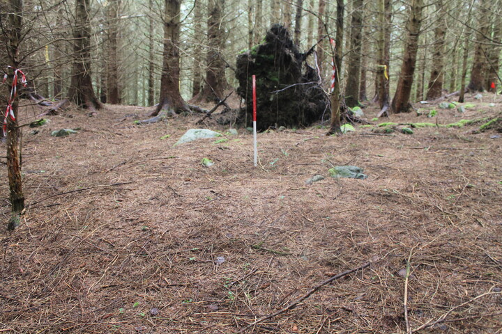 EHG5104_1297.JPG