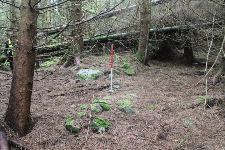 EHG5104_1301.JPG