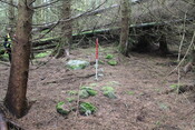 EHG5104_1301.JPG