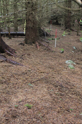 EHG5104_1303.JPG
