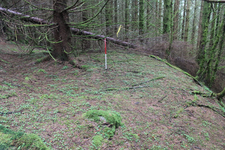 EHG5104_1307.JPG