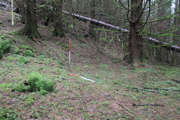 EHG5104_1309.JPG