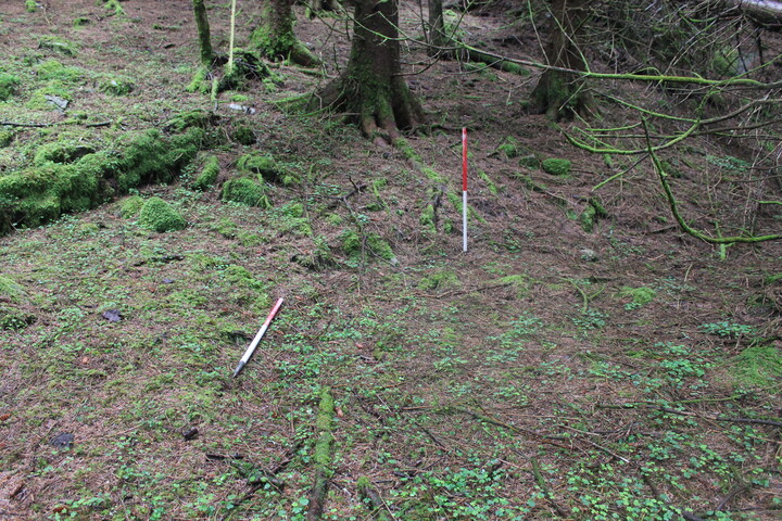 EHG5104_1310.JPG