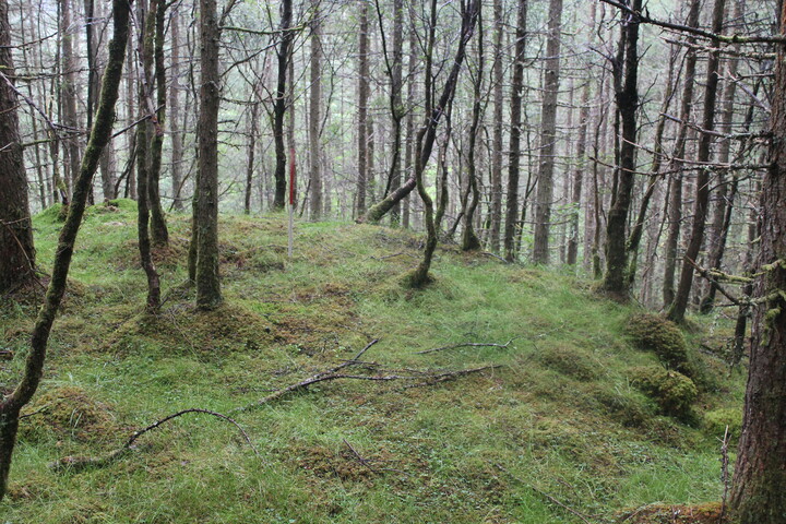 EHG5104_1319.JPG
