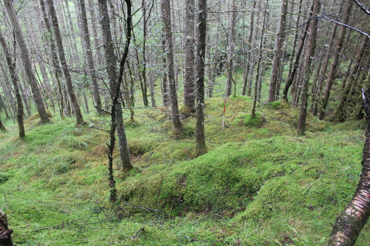 EHG5104_1320.JPG