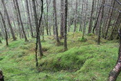 EHG5104_1320.JPG