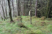 EHG5104_1321.JPG