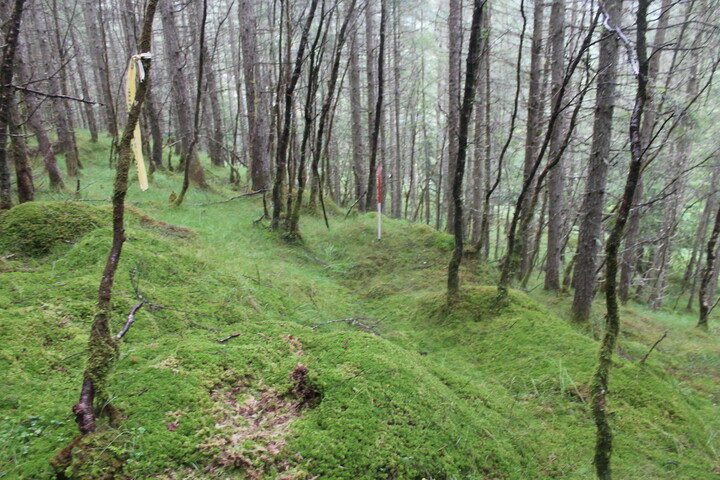 EHG5104_1322.JPG