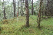 EHG5104_1329.JPG