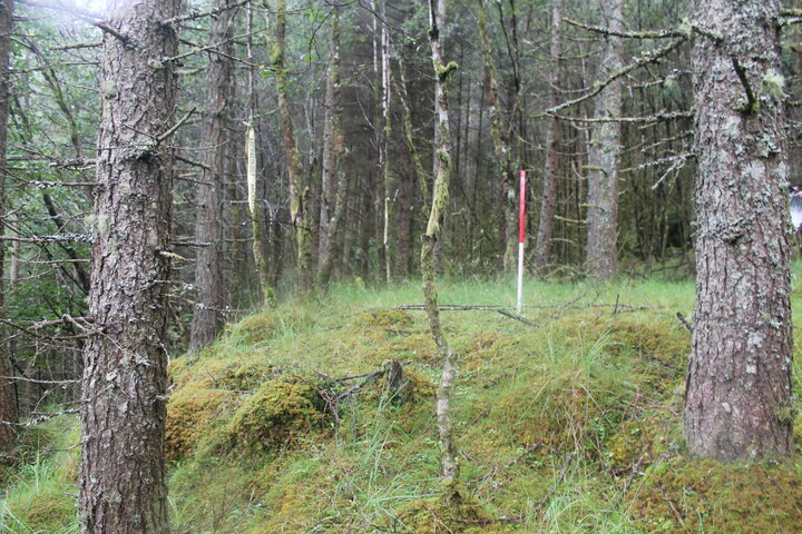 EHG5104_1330.JPG