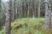 EHG5104_1330.JPG