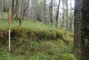 EHG5104_1331.JPG