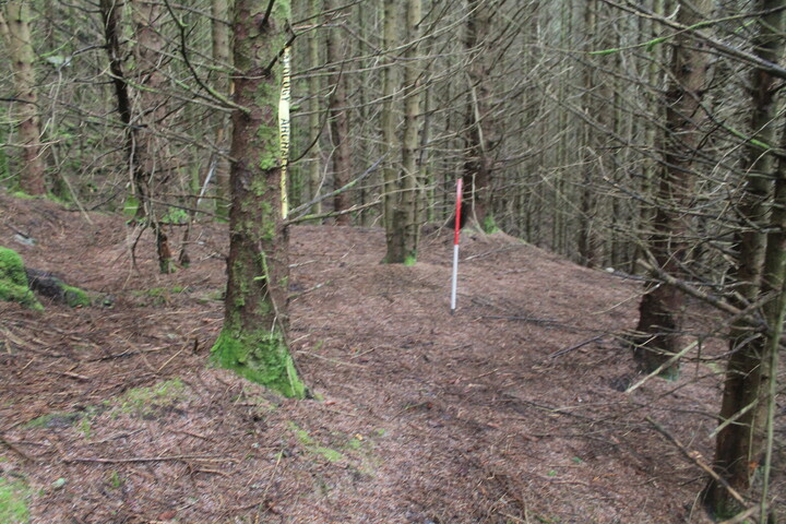 EHG5104_1336.JPG