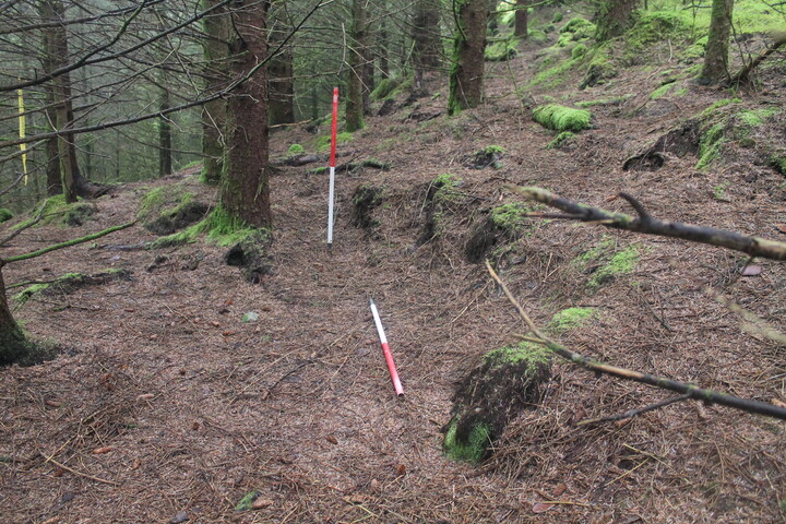 EHG5104_1342.JPG
