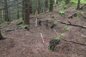 EHG5104_1342.JPG