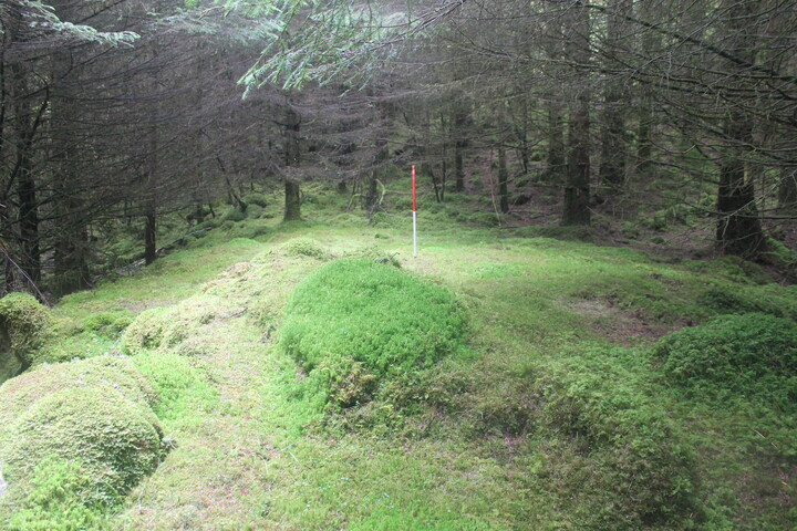 EHG5104_1346.JPG