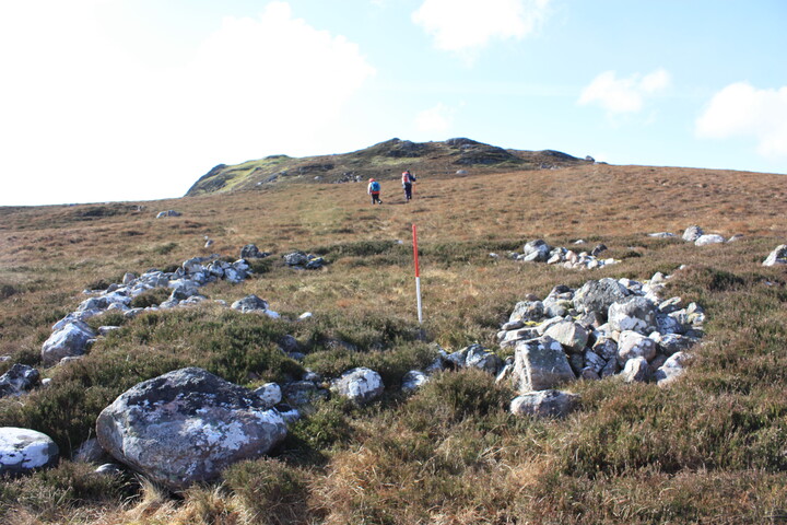 MHG7522_01.jpg
