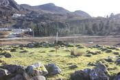 MHG7721_01.jpg