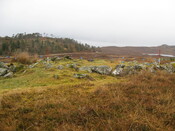 MHG7721_04.JPG
