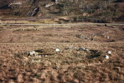 MHG57730_01.jpg