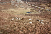 MHG57730_03.jpg