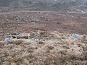 MHG57731_06.JPG