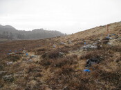 MHG57731_07.JPG