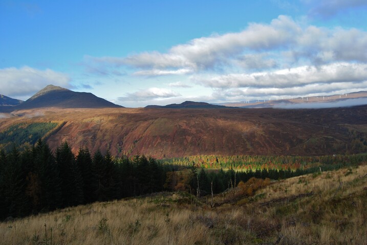 EHG5105_0701.JPG
