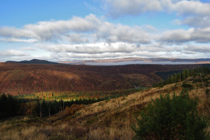 EHG5105_0702.JPG
